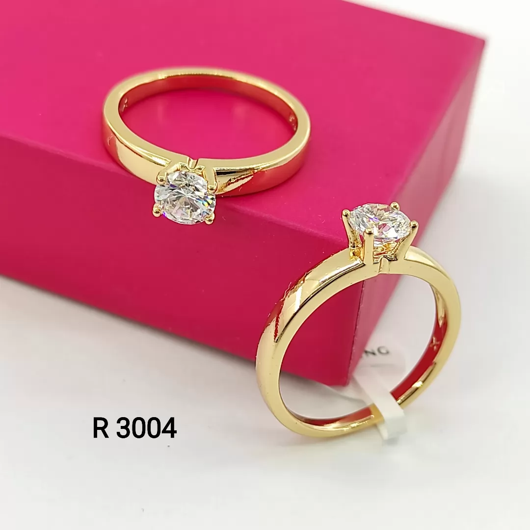 R 3004